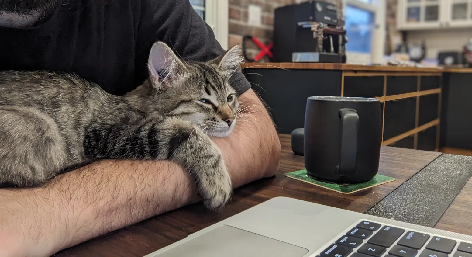 Ian Mckay at work with a cat.
